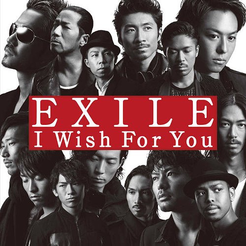 I Wish For You [CD]