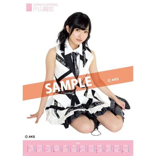 Katayama Haruka 2012 Poster Calendar
