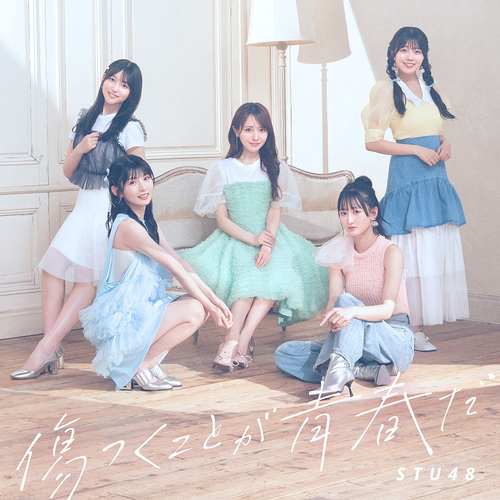 Kizutsukukoto ga Seishun da (Regular Edition) (Type B) [CD]