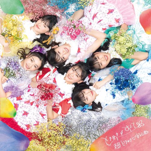Tokimeki ga Subete (Type B) [CD]
