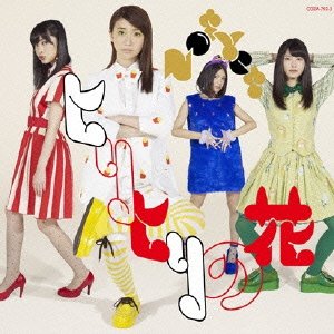 Hiri Hiri no Hana (Type A) [CD+DVD]