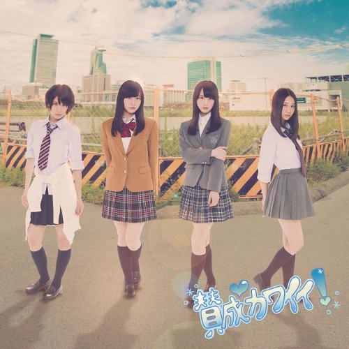 Sansei Kawaii! (Type B) (Regular Edition) [CD+DVD]