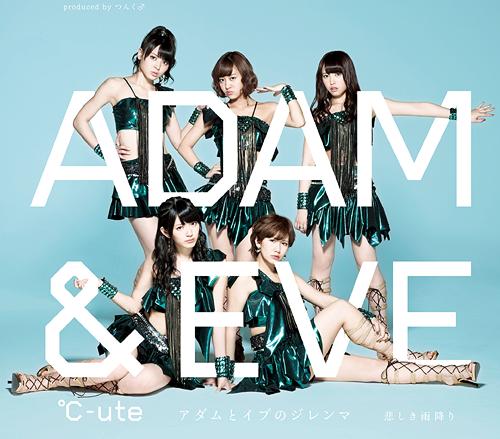 Kanashiki Amefuri / Adam to Eve no Dilemma (Type B) (Regular Edition) [CD]