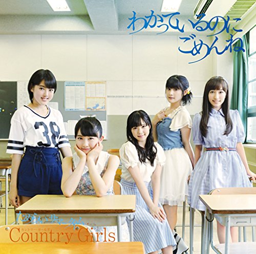 Wakatte iru no ni gomenne/Tamerai Summertime (Type C) [CD+DVD]
