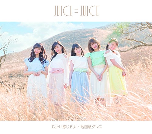 Jidanda Dance / Feel! Kanjiruyo (Type B) [CD]