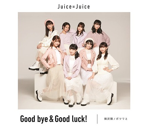 Bitansan / Potsuri to / Good bye & Good luck! (Type C) [CD]