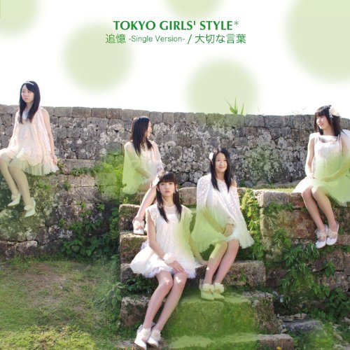 Tsuioku -Single Version- / Taisetsu na Kotoba [CD]