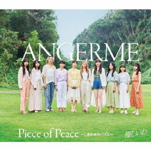 Kuyashiiwa / Piece of Peace - Shiawase no Puzzle - [Regular Edition / Type B]