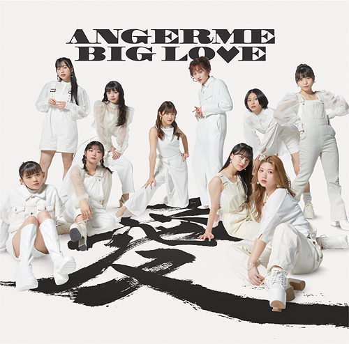 Big Love [CD]