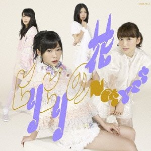 Hiri Hiri no Hana (Type B) [CD+DVD]