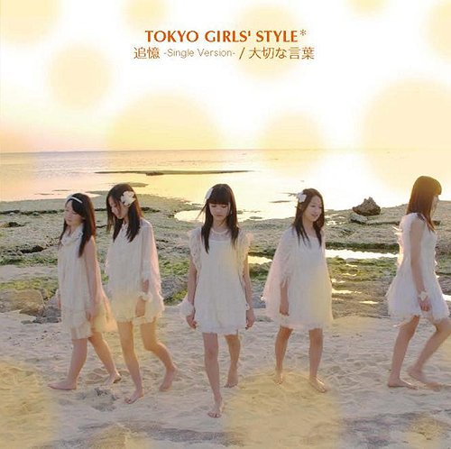 Tsuioku -Single Version- / Taisetsu na Kotoba (Type B) [CD+DVD]